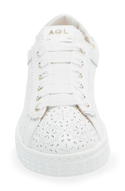 Shop Agl Attilio Giusti Leombruni Sade Perforated Sneaker In White