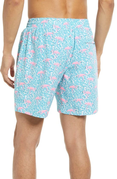Shop Chubbies Tropicadas 7-inch Swim Trunks In The Domingos Are For Flamingos