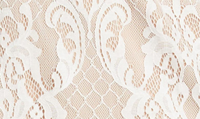 Shop Tash And Sophie Quarter Wide Sleeve Lace Dress In Ivory/ Nude