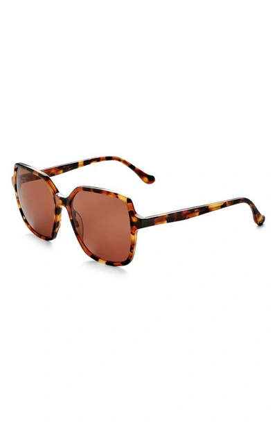 Shop Gemma Styles Lake Shore Drive 55mm Rectangle Sunglasses In Tortoise