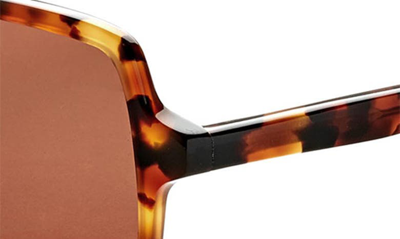 Shop Gemma Lake Shore Drive 55mm Rectangle Sunglasses In Tortoise