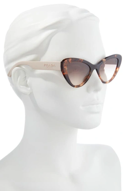 Shop Prada 52mm Cat Eye Sunglasses In Brown Gradient