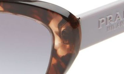 Shop Prada 52mm Cat Eye Sunglasses In Havana