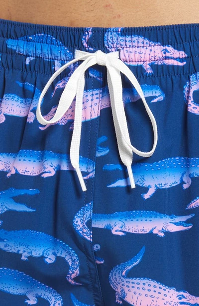 Shop Chubbies 5.5-inch Swim Trunks In The Glader Gators