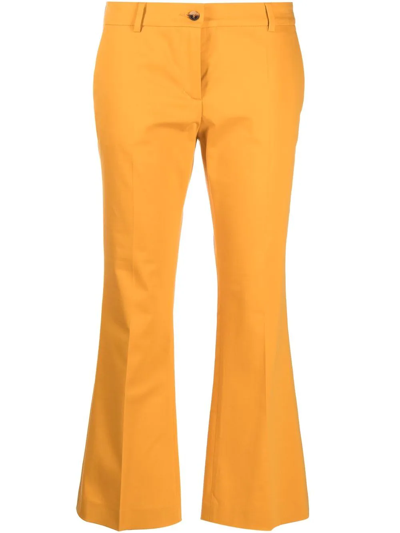 Shop Alberto Biani Cropped Flared Trousers In Gelb