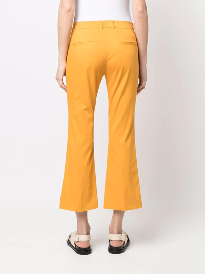Shop Alberto Biani Cropped Flared Trousers In Gelb