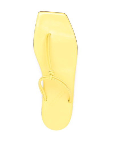 Shop Dorothee Schumacher Thong-strap Leather Sandals In Gelb
