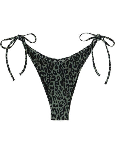 Shop Palm Angels Leopard Print Brazilian Bikini Bottoms In Black