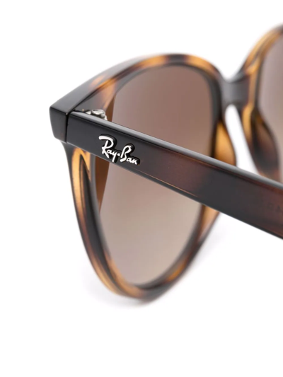Ray Ban Tortoise Square-frame Sunglasses In Braun