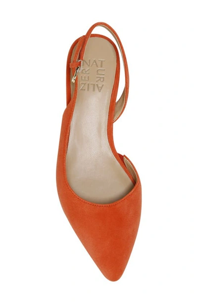 Shop Naturalizer Banks Pump In Pottery
