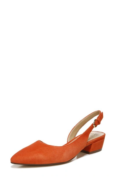 Shop Naturalizer Banks Pump In Pottery