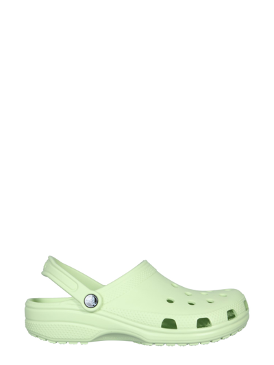 Crocs Classic Clog In Celery | ModeSens