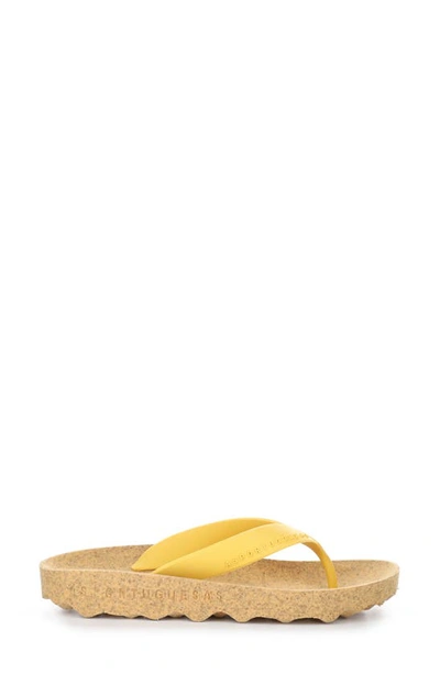 Shop Asportuguesas By Fly London Feel Flip Flop In Yellow Rubber