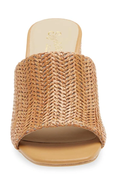 Seychelles Adapt Raffia Slide Sandal In Tan Raffia