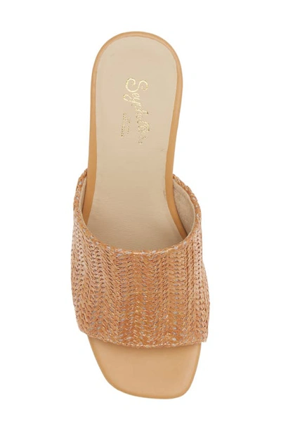 Seychelles Adapt Raffia Slide Sandal In Tan Raffia