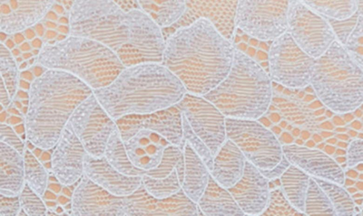 Shop Montelle Intimates Cheeky Lace Bodysuit In Heaven