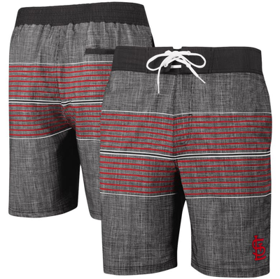 Shop G-iii Sports By Carl Banks Charcoal St. Louis Cardinals Horizon Volley Swim Trunks