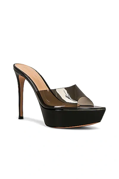 Gianvito Rossi Betty Transparent Stiletto Platform Mules In Fume & Black