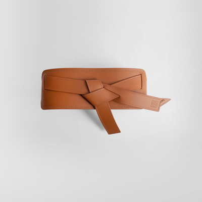 Shop Loewe Belts In Brown