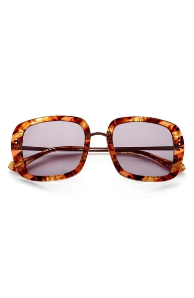 Shop Gemma Styles Baker Street 52mm Square Sunglasses In Tigers Eye