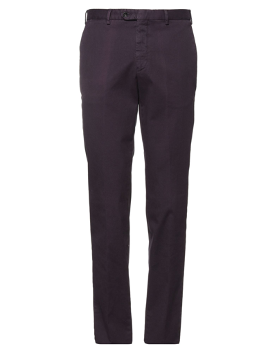 Shop Drumohr Man Pants Purple Size 36 Cotton, Elastane