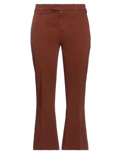 Shop Dondup Woman Pants Brown Size 25 Cotton, Elastane