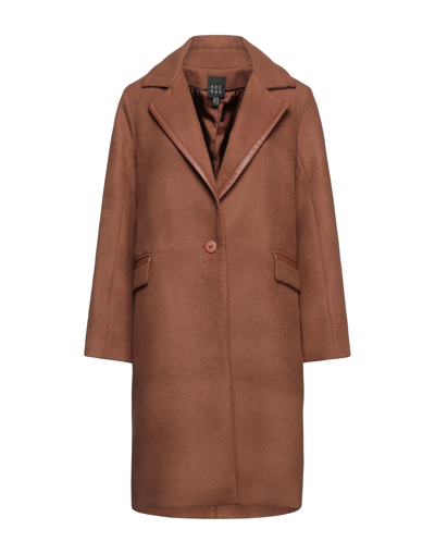 Shop Access Fashion Coats In Brown