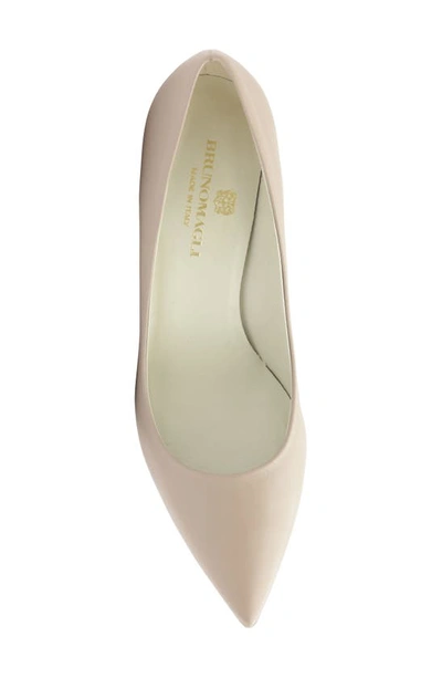 Shop Bruno Magli Telma Pointed Toe Pump In Nude Calf