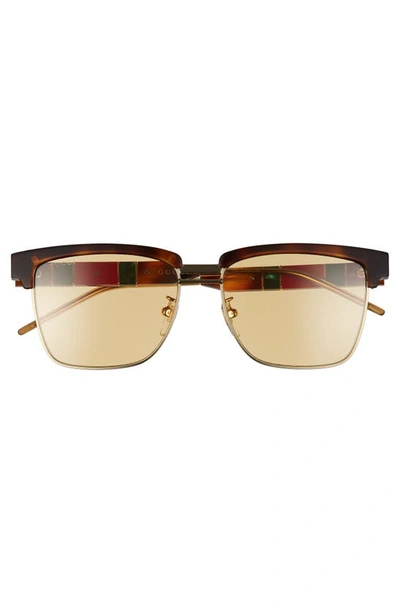 Shop Gucci 56mm Square Sunglasses In Shiny Medium Havana