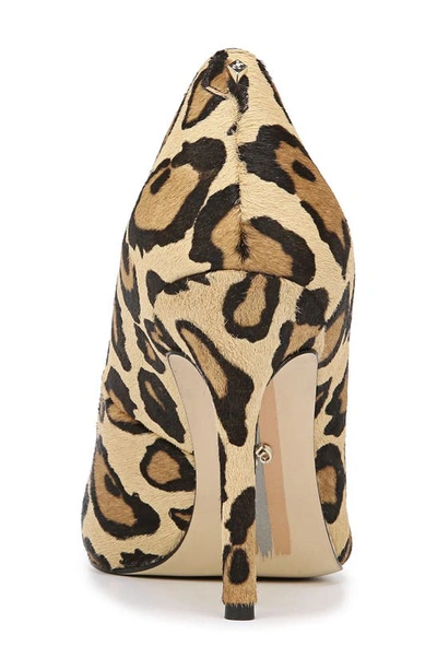 Shop Sam Edelman Hazel Pointed Toe Pump In New Nude Leopard Calf Hair