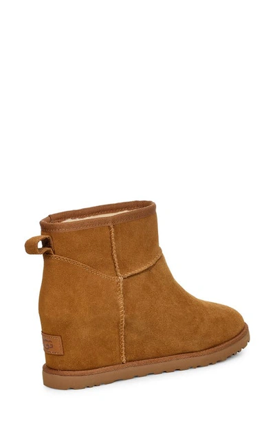 Shop Ugg Classic Mini Wedge Bootie In Che Suede