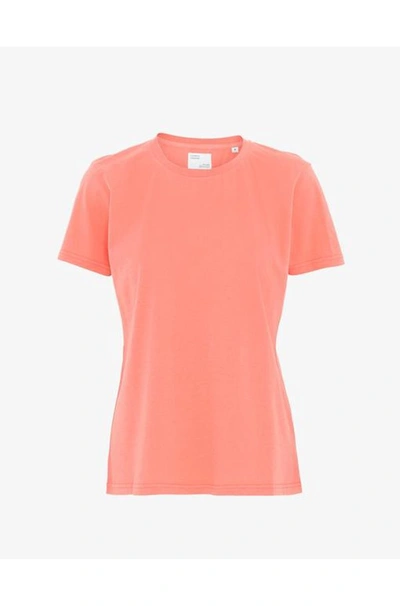 Shop Colorful Standard Organic Tee Shirt In Bright Coral