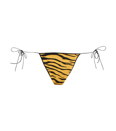 Shop Tropic Of C The C Zebra-print Bikini Bottoms In Zebra Sunshine