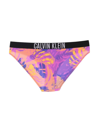 Shop Calvin Klein Botanical-print Logo-waist Bikini Briefs In Orange