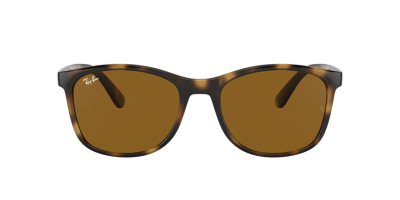 Shop Ray Ban Ray In Braun