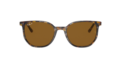 Ray Ban Ray In Brown Polar