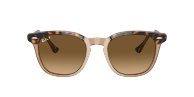 Ray Ban Ray In Brown Gradient Polar