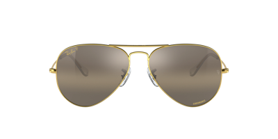 Ray Ban Ray In Polar Clear Gradient Dark Brown