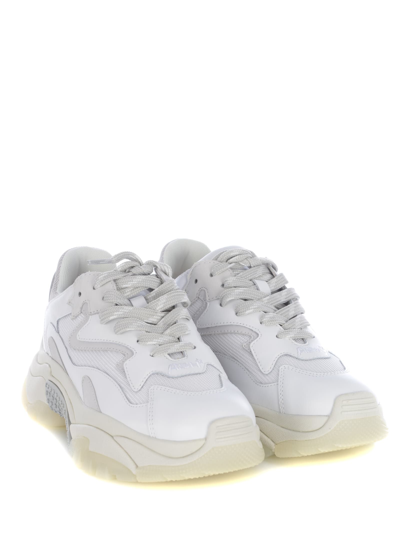 Shop Ash Sneakers  Addict In Nubuck In Bianco
