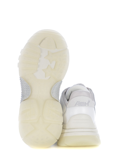 Shop Ash Sneakers  Addict In Nubuck In Bianco