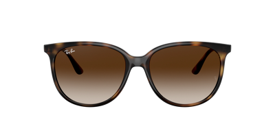 Ray Ban Ray In Gradient Brown