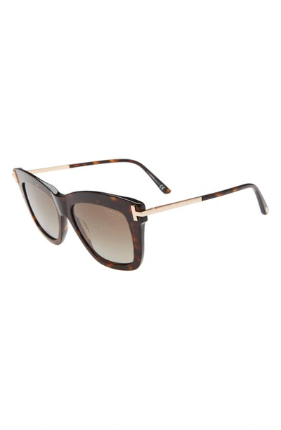 Shop Tom Ford Dasha 52mm Polarized Square Sunglasses In Dark Havana/ Rose Gold/ Brown