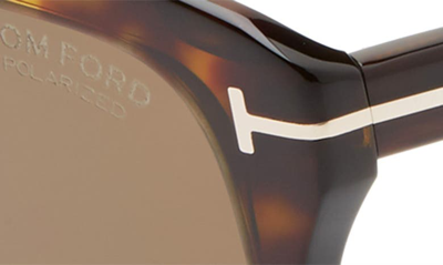 Shop Tom Ford Faye 56mm Polarized Square Sunglasses In Dark Havana/ Brown