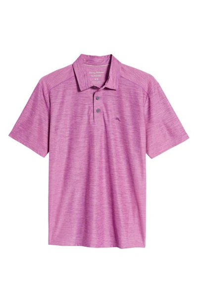 Shop Tommy Bahama Palm Coast Classic Fit Polo In Purple Chordata