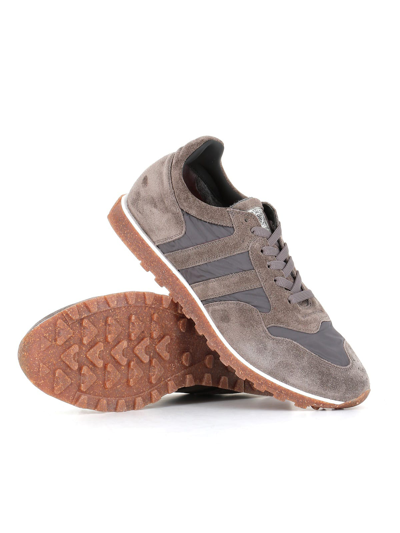 Shop Alberto Fasciani Sneaker Sport 6500 In Grey
