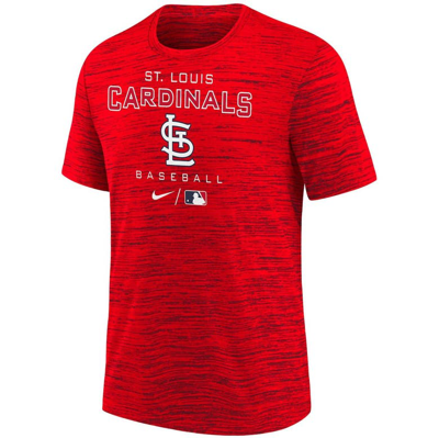 Advice from a Cardinal T-Shirt – yourturenature_demo