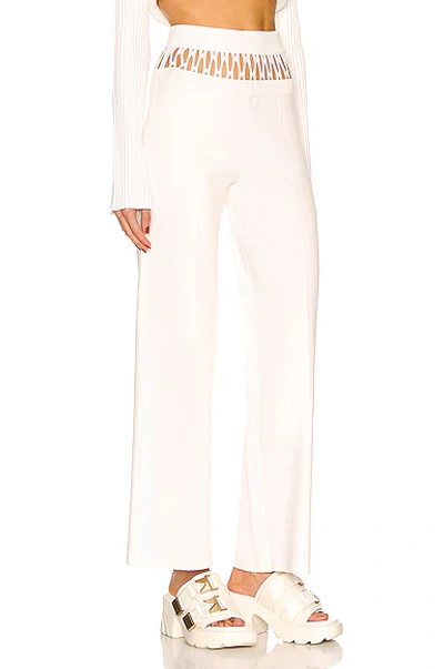 Shop Dion Lee Net Suspended Pant In Ivory