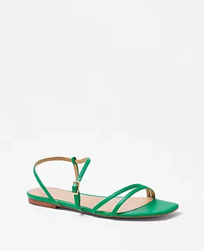 Shop Ann Taylor Leather Strappy Flat Sandals In Sweet Clover