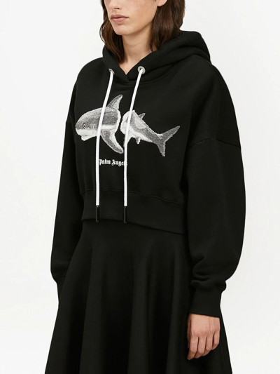 Shop Palm Angels Shark Cotton Hoodie In Black