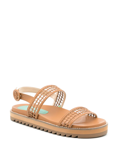 Shop Blue Bird Shoes Tressê Leather Sandals In Brown